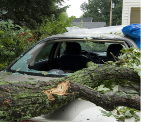 Flood, fire, hail damaged